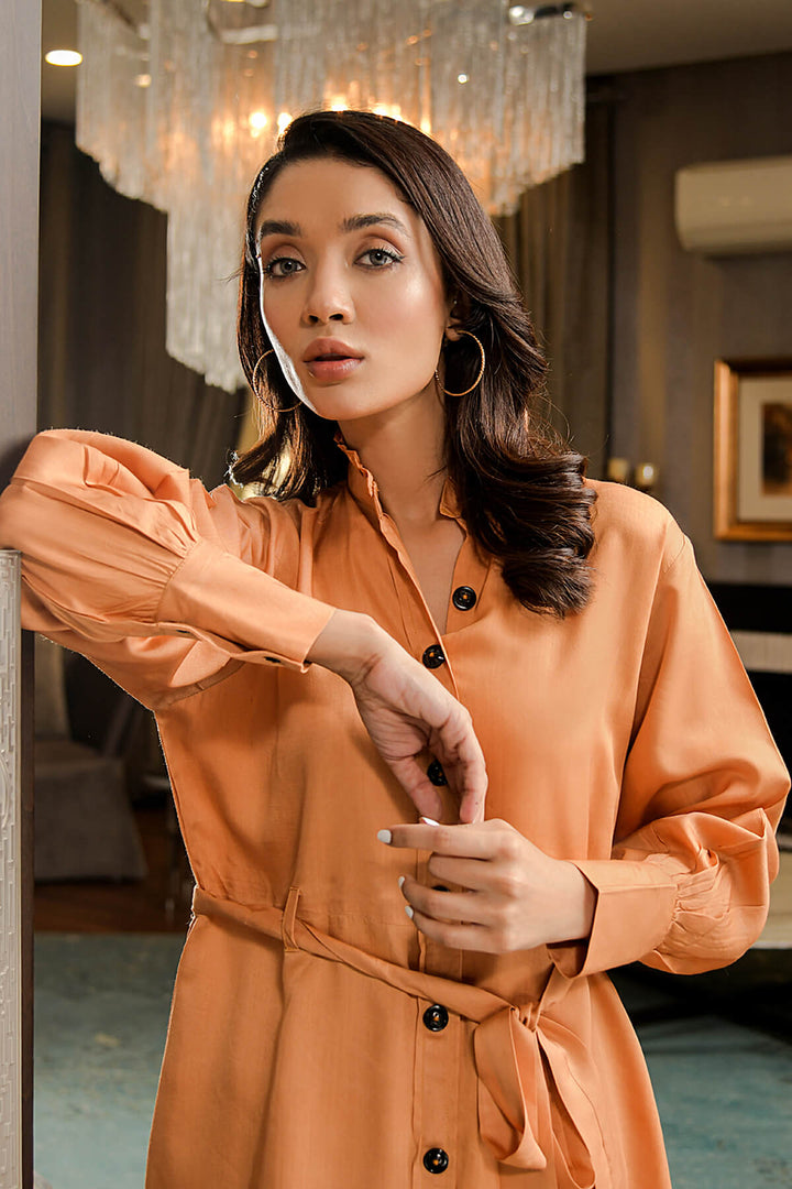 Champagne Hem Belted Dress
