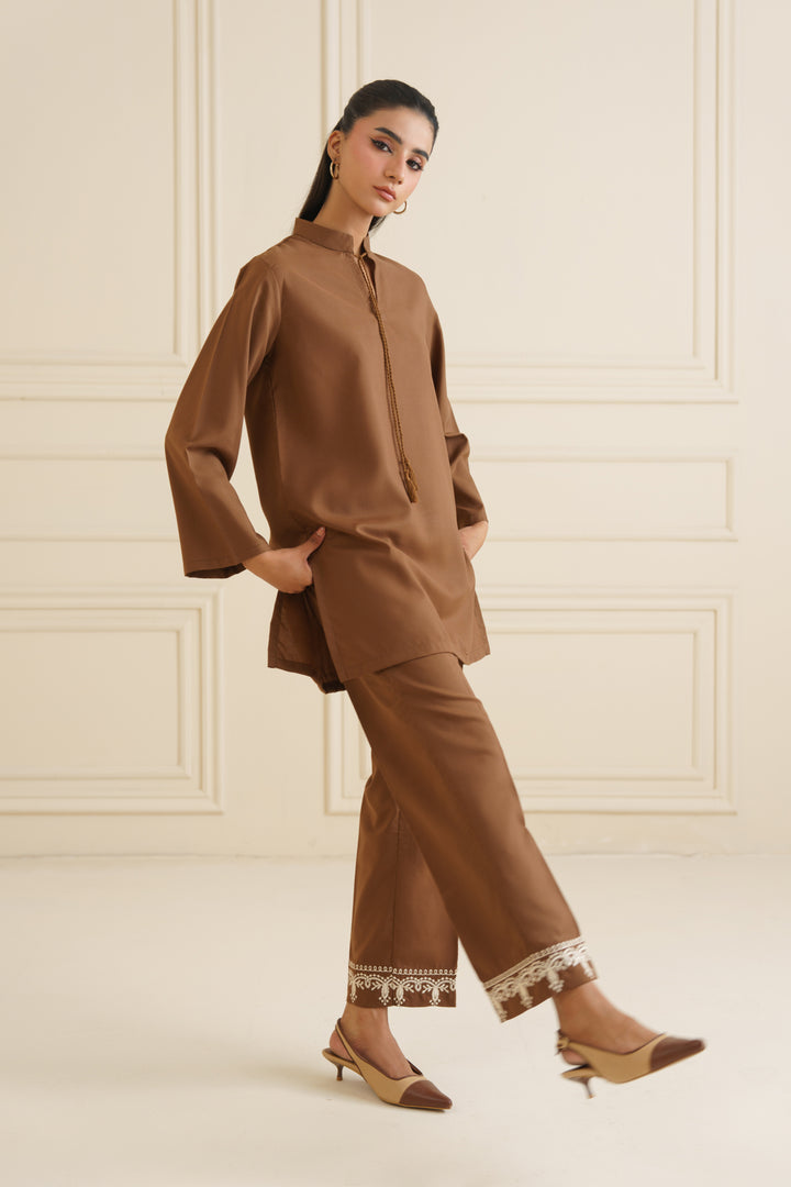 Pastel Brown Embroidered Co ord set - 020