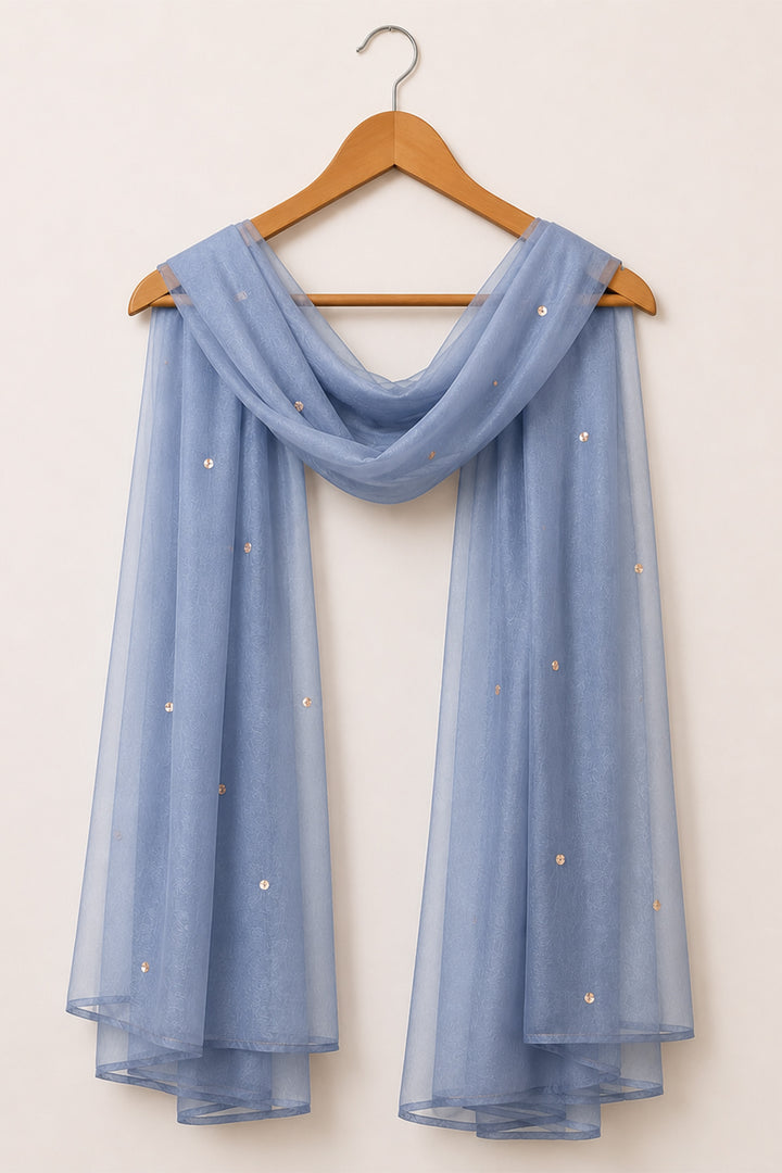 Sky Blue Organza Dupatta