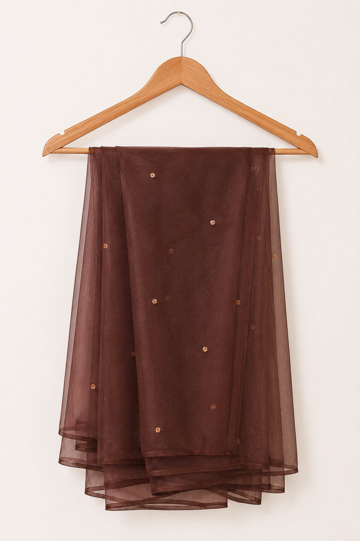 Brown Organza Dupatta