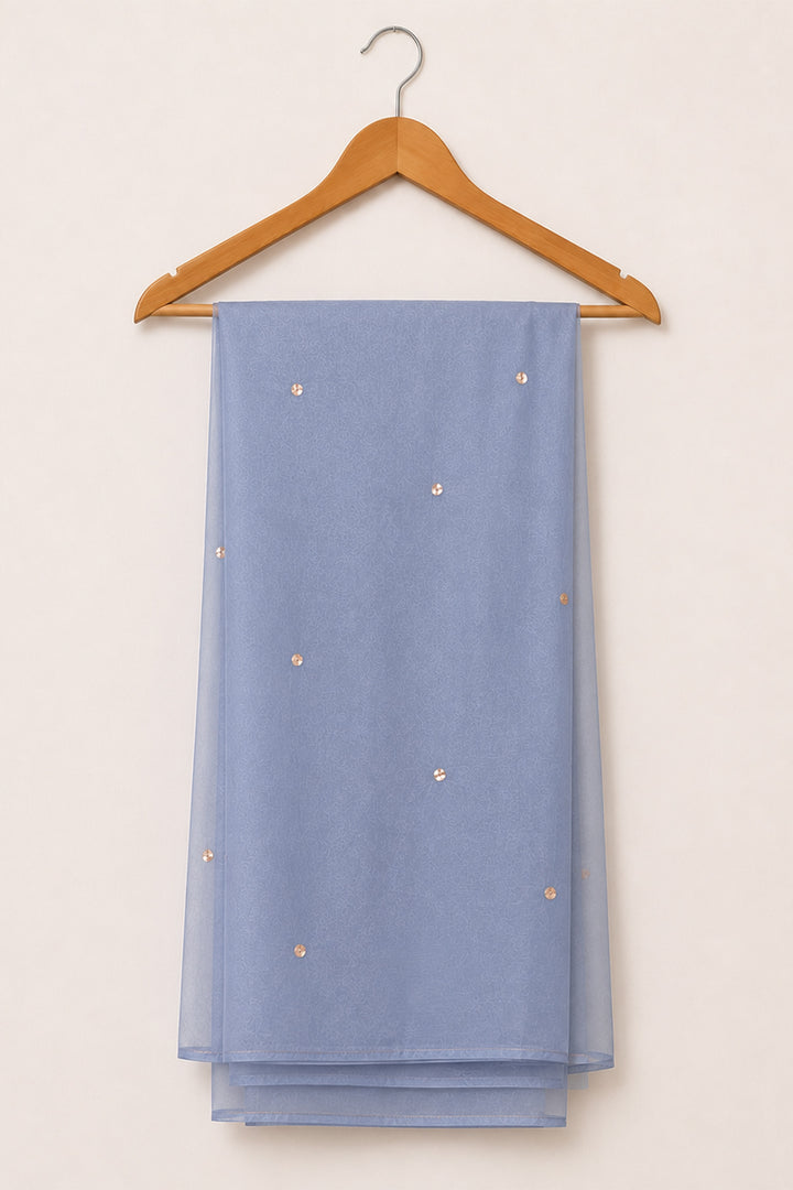 Sky Blue Organza Dupatta