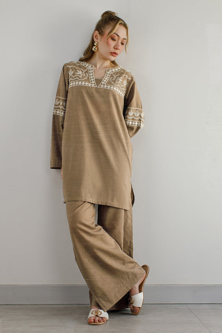 Pastel Brown Embroidered Co Ord Set