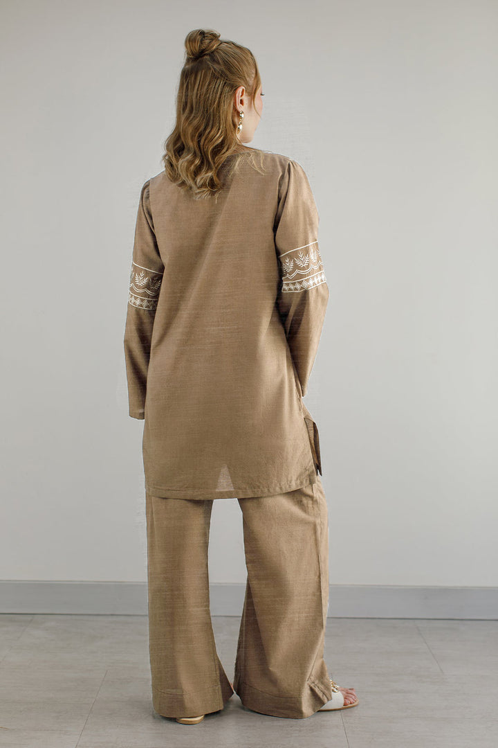 Pastel Brown Embroidered Co Ord Set