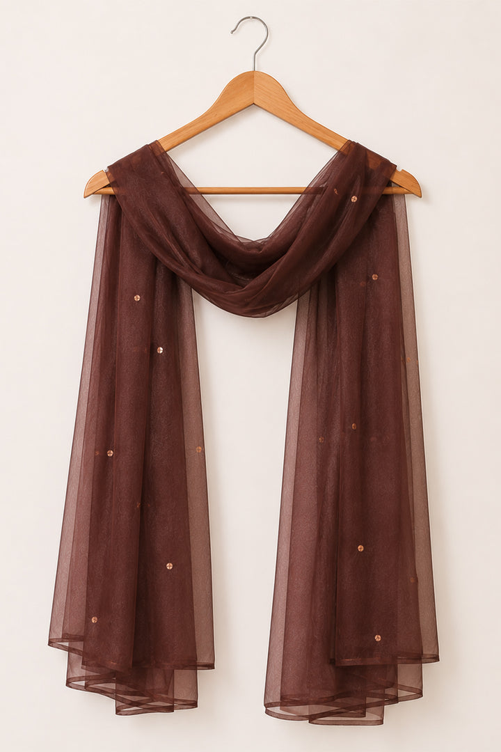 Brown Organza Dupatta